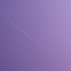 Exposici�n 2013